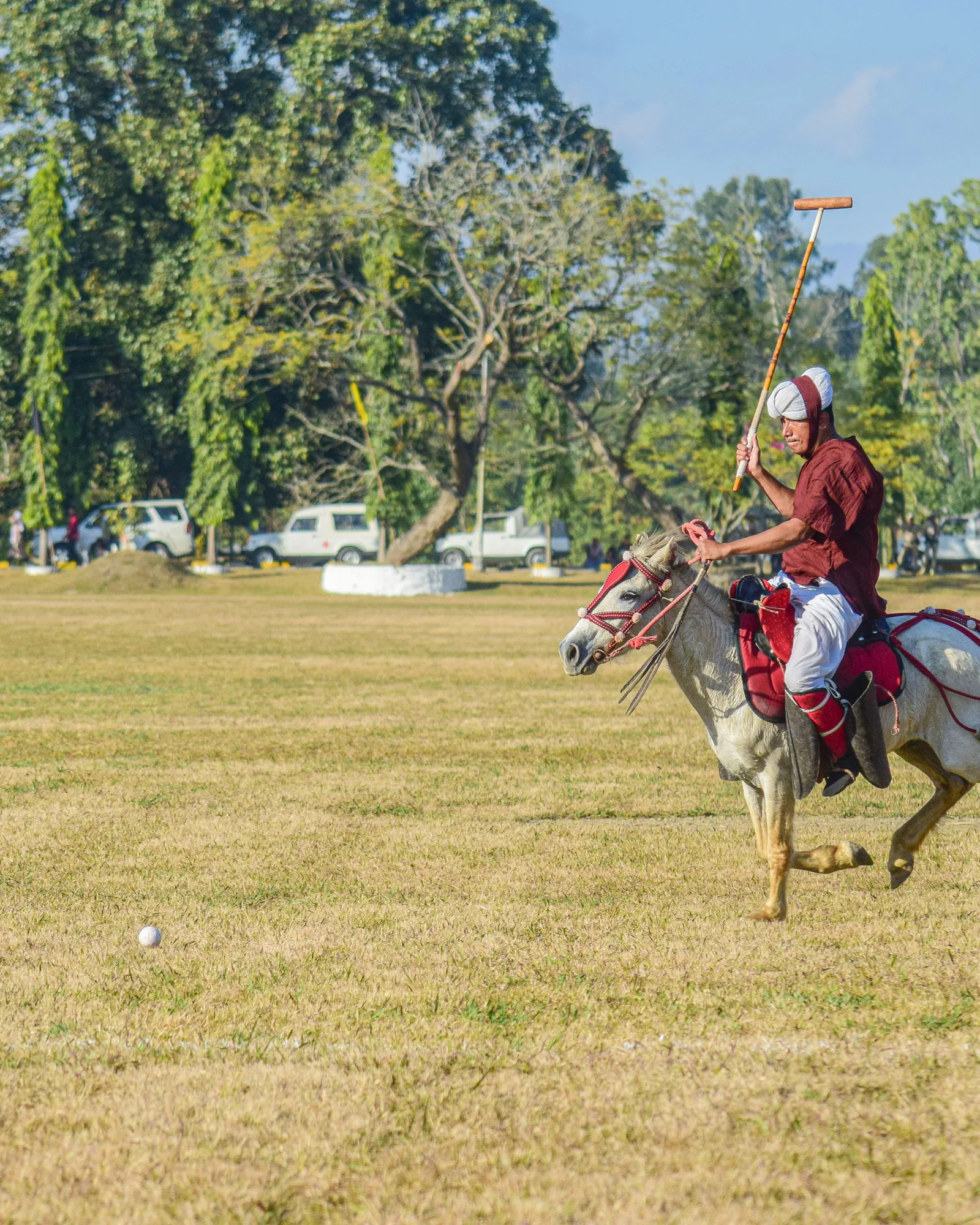 Cavalier en polo rouge au-dessus d’un obstacle sur une piste en herbe